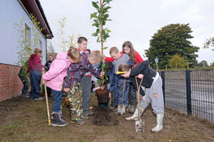 Established Titles School Charity Day: Local school transform unused area into wildlife sanctuary